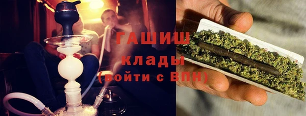 хмурый Белокуриха