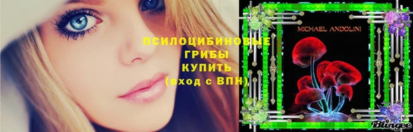мяу мяу мука Беломорск