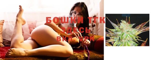 хмурый Белокуриха