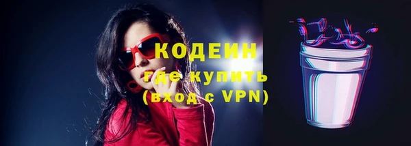 хмурый Белокуриха