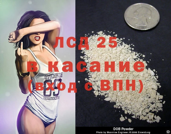 хмурый Белокуриха
