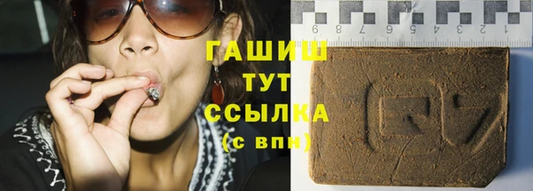 хмурый Белокуриха