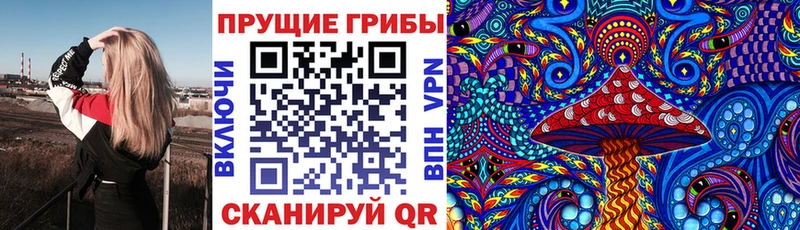 Галлюциногенные грибы мицелий  наркота  нарко площадка телеграм  Ногинск 